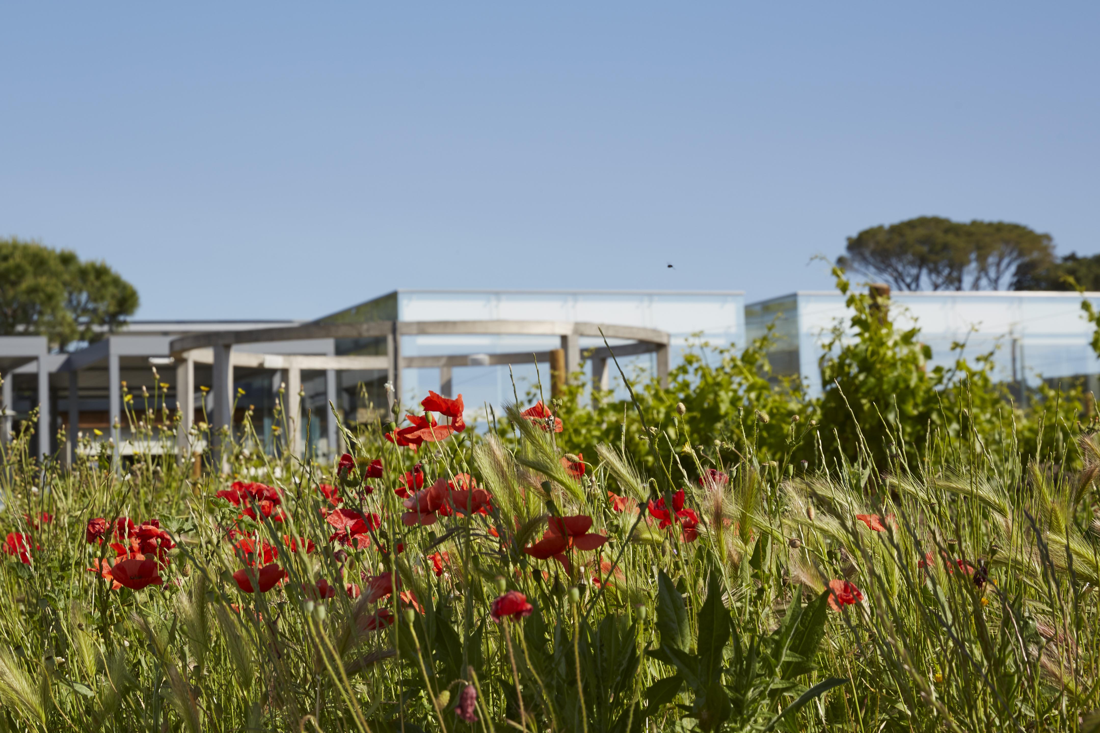 Domaine De Verchant & Spa - Relais & Chateaux Castelnau-le-Lez Esterno foto